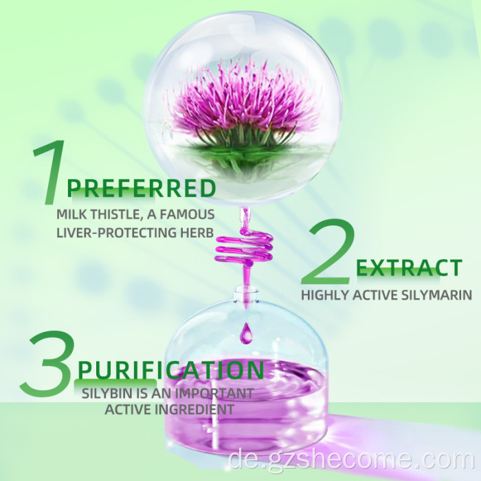 Bio -Milch -Distel -Ergänzung Supprort Leberfunktion